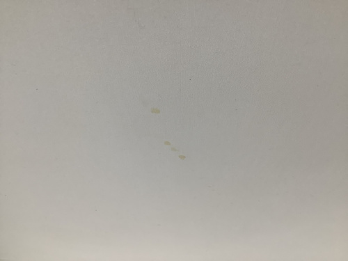 22年01月06日：画像６