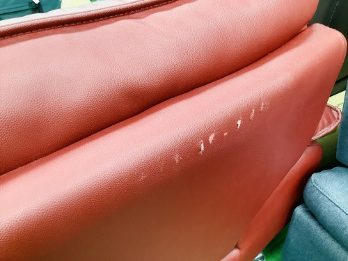 22年02月27日：画像６