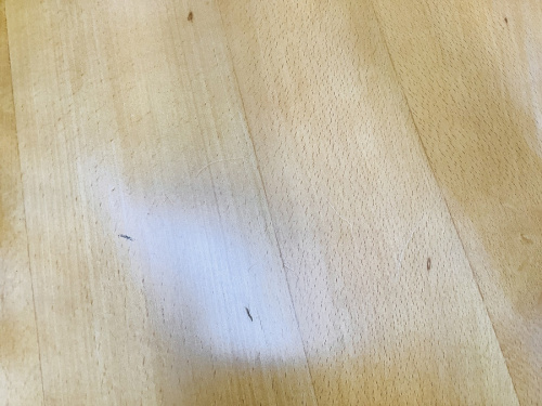 22年05月11日：画像６