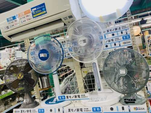 夏物家電の6月