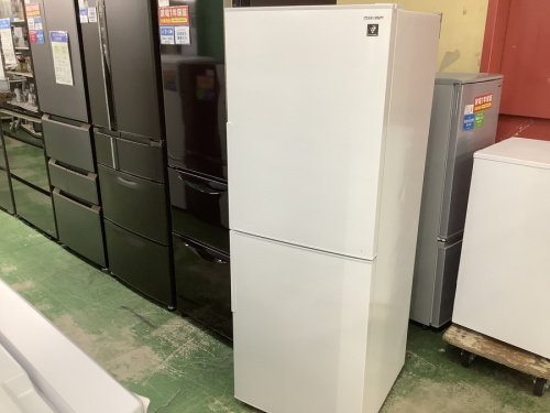 キッチン家電の冷蔵庫