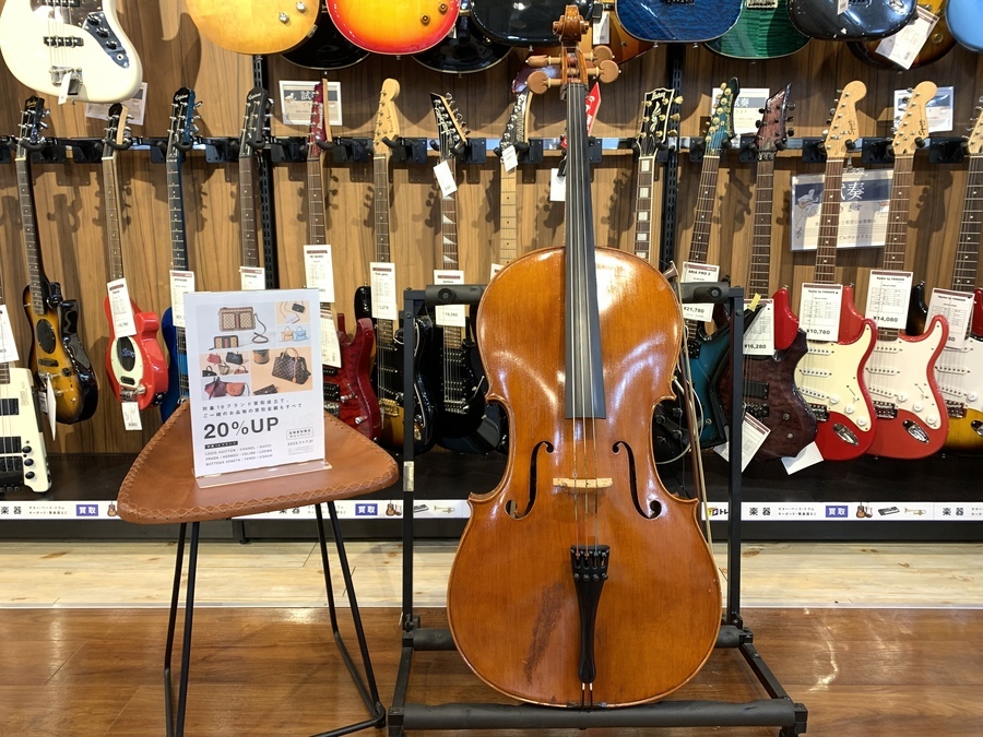 PYGMALIUS RUBINO/ピグマリウス ルビーノ】チェロ RC-350Sが買取 PYGMALIUS RUBINO/ピグマリウス ルビーノ】チェロ RC-350Sが買取