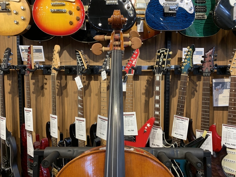 【専用】Pygmalius(ピグマリウス) チェロ ST302 専用】Pygmalius(ピグマリウス) チェロ ST302