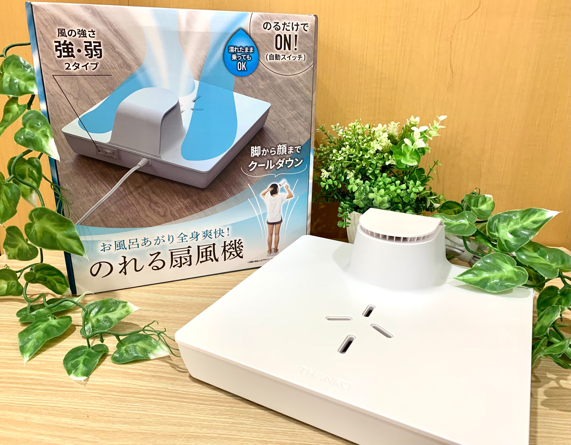 THANKO サンコー乗れる冷風機 のれせん BDYFANHWH 楽天市場】脱衣所