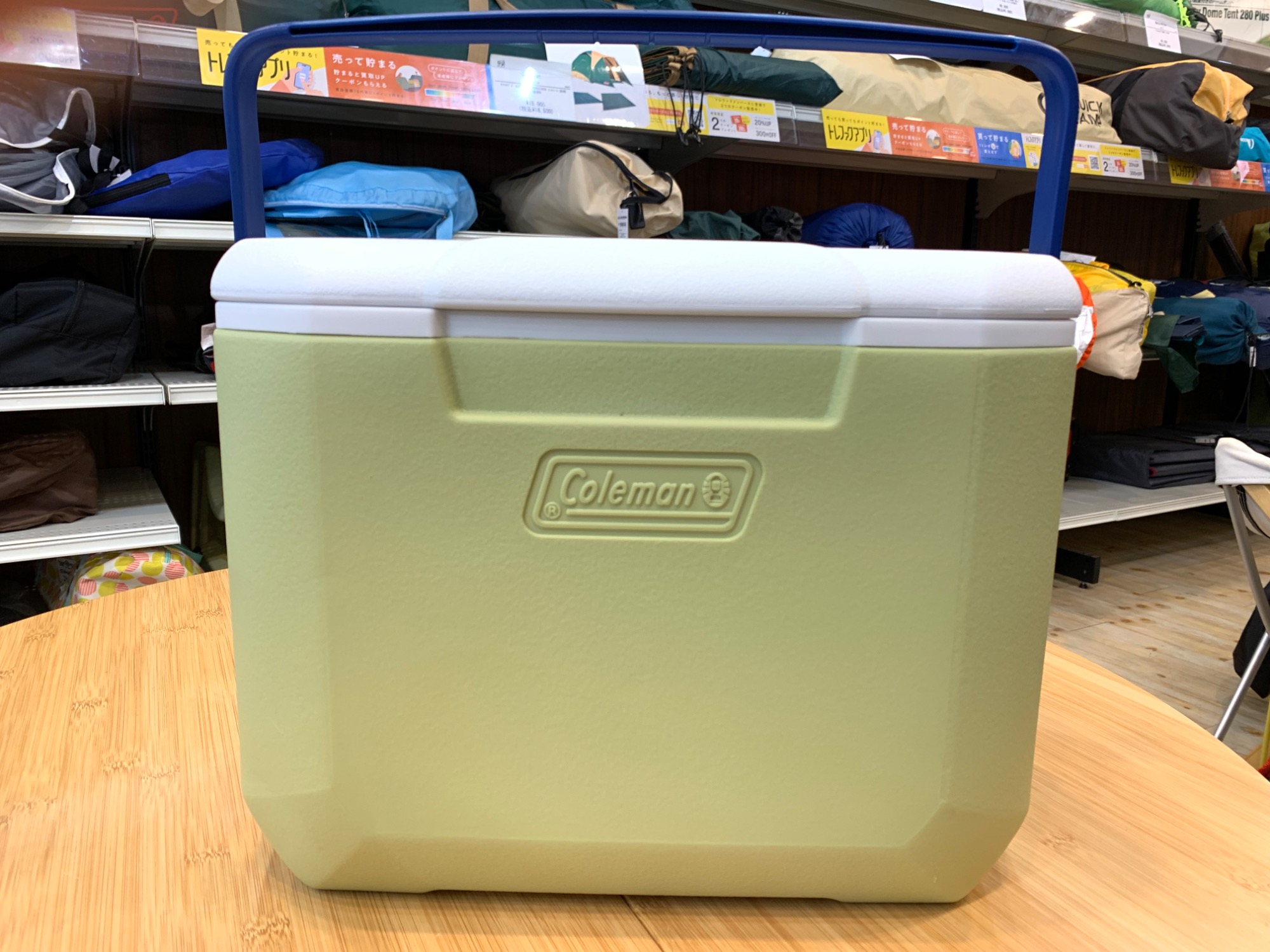 Coleman - shihoです＊ディズニーストア　コールマン　クーラーボックス ディズニーストア コールマン ミッキー クーラーボックス｜Yahoo