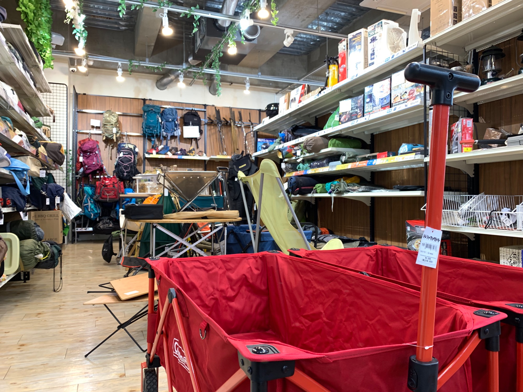 【半額セール】ディメンションフォース　30box 半額セール】ディメンションフォース30box