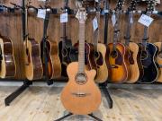 Takamine(タカミネ)アコースティックギター(TSN500)のご紹介