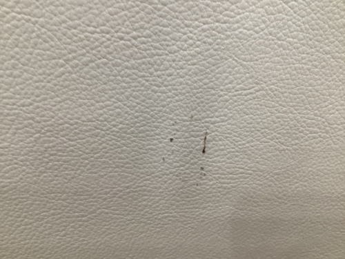 21年10月26日：画像６