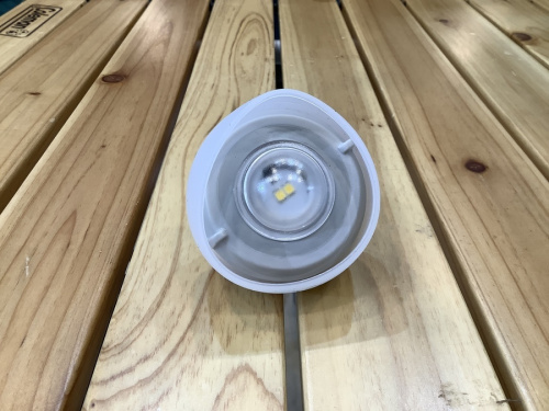 たねほおずきの中古