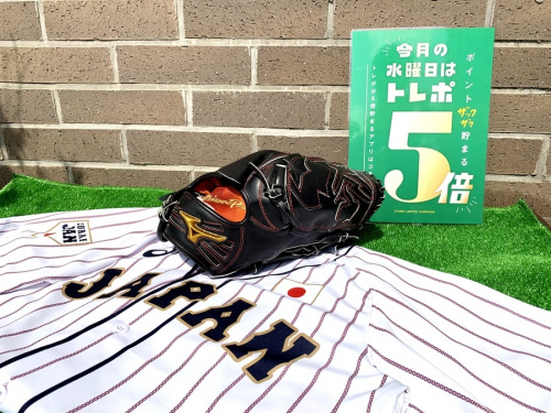 スポーツ用品の野球