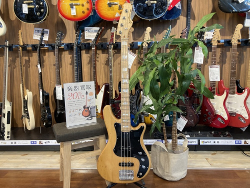 中古楽器店のベース