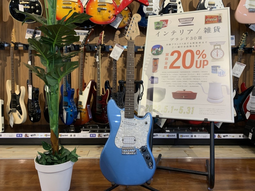 中古楽器店のギター