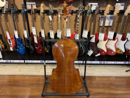 チェロ PYGMALIUS(ピグマリウス) RUBINO(ルビーノ)350S PYGMALIUS