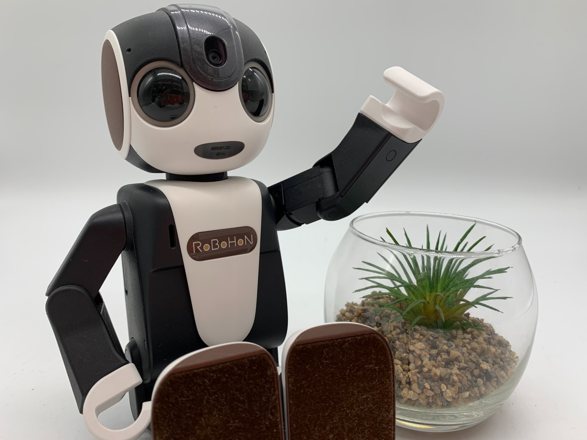 SHARPからRoBoHoNを買取入荷しました！｜2025年01月15日｜リサイクル