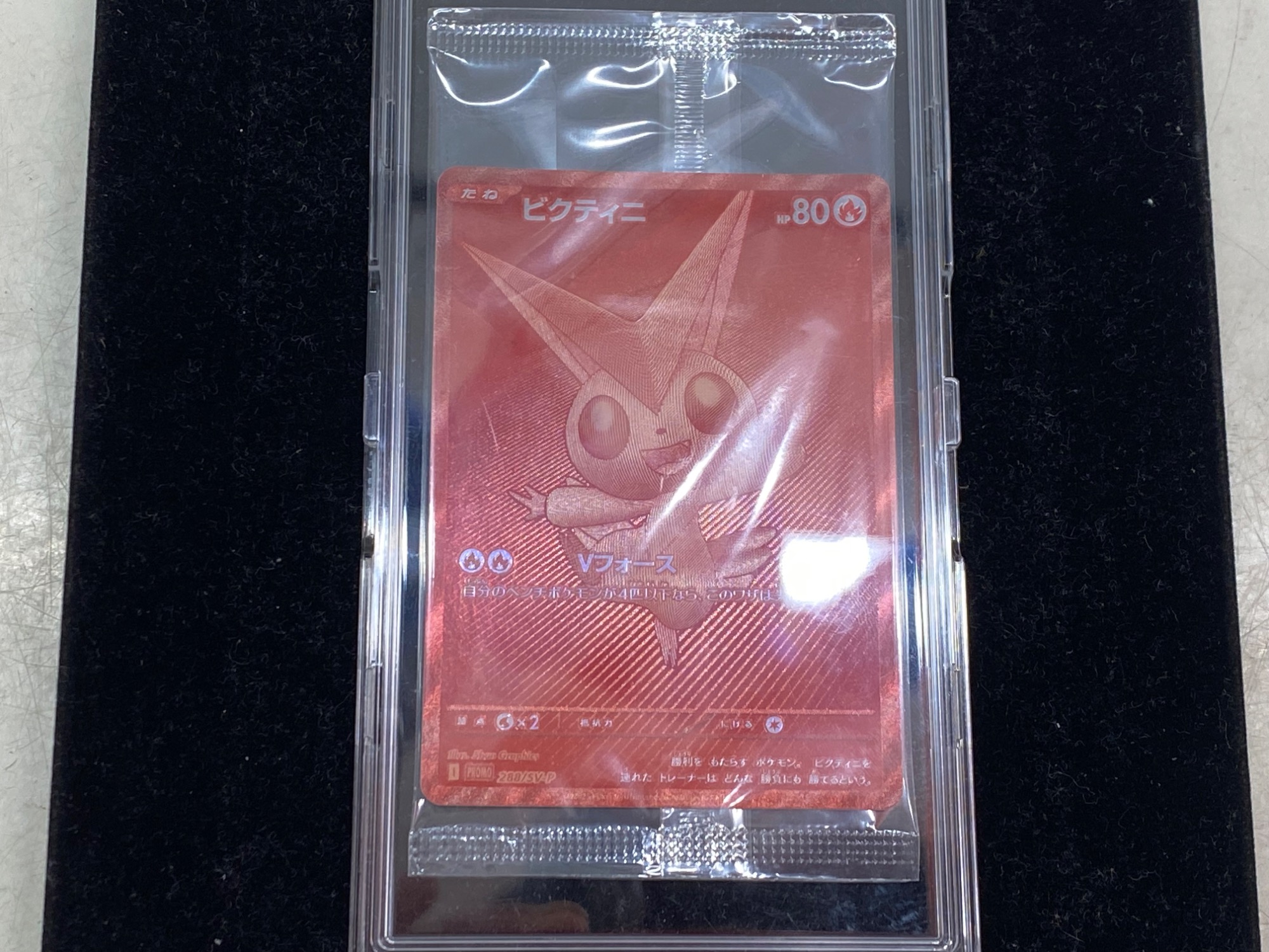 ポケモンカード　ビクティニ争奪戦　プロモ ○ビクティニ争奪戦 ビクティニBWRプロモカード ビクティニ争奪戦