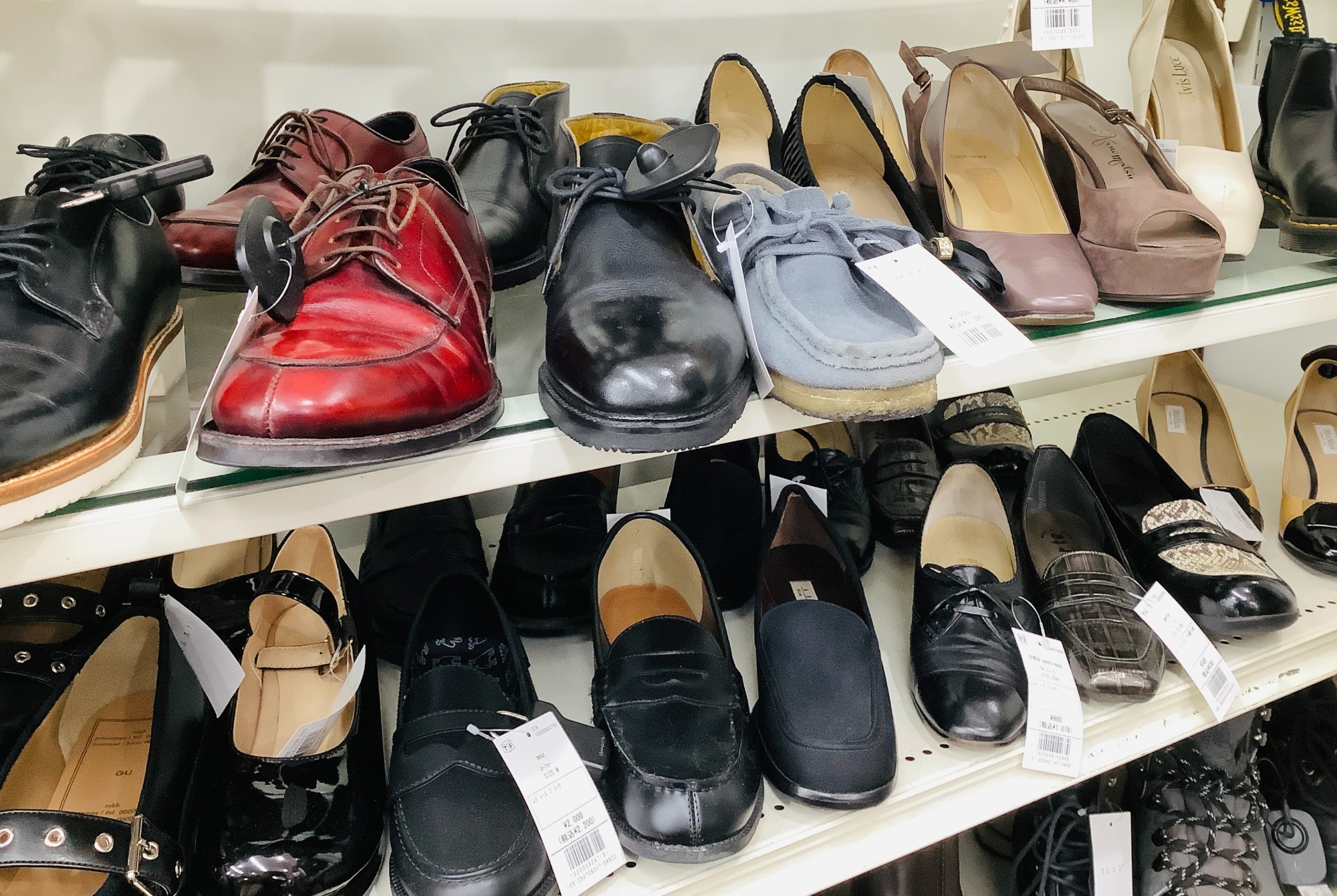 入荷しました!! アディダスコラボジェレミースコットのくまさん