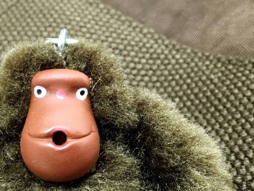 17年11月15日：画像６