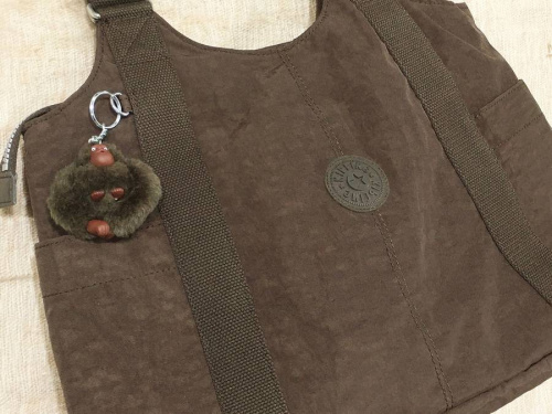 17年11月15日：画像７