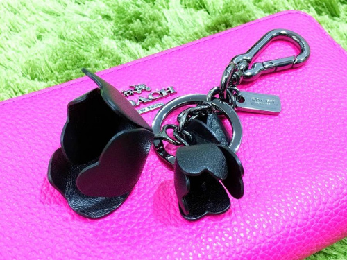 18年01月12日:画像6