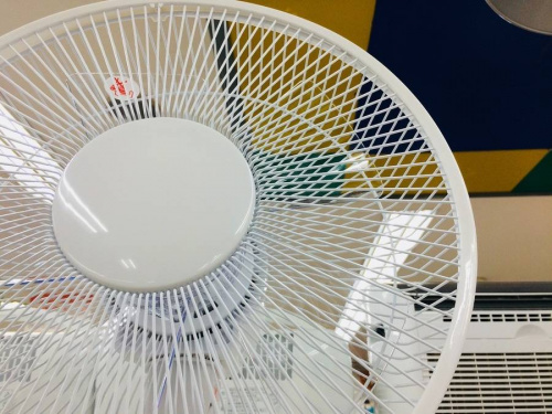 季節家電の扇風機