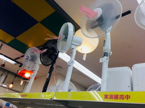 dysonの浦和3店舗中古家電情報