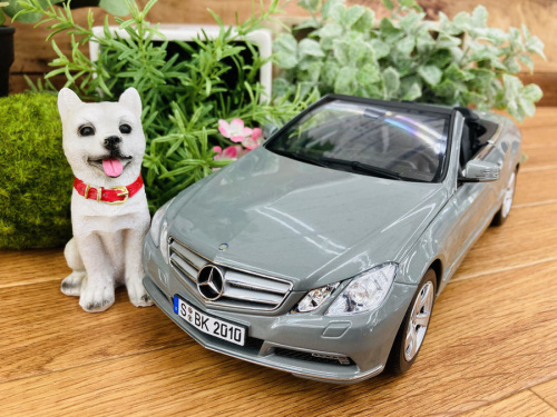 ホビーのミニカー