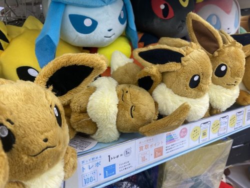 ホビーのポケモン