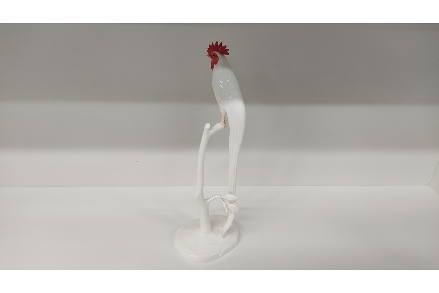 台付き尾長鶏標本 □尾長鶏＜褐色種＞（特別台座付） | その他 鳥/Bird Other | PazuMe
