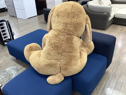 ヨシヅヤ　の名古屋　リサイクル