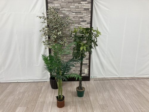 愛知蟹江