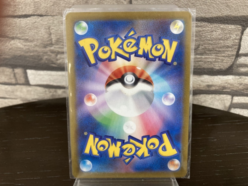 POKEMONのポケモン
