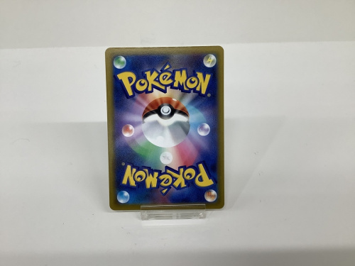 POKEMONのポケモン