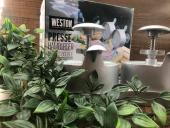 トレファク桶川店ブログ