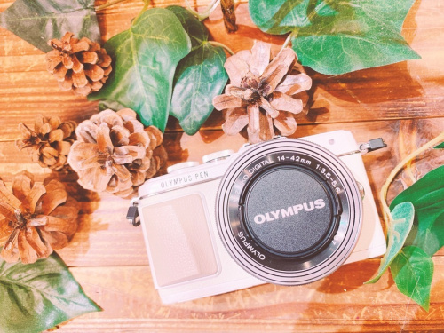 カメラのデジタルカメラ