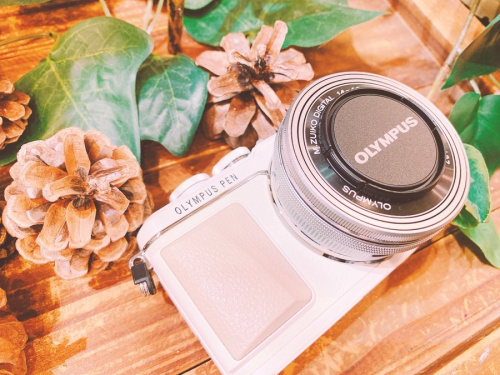 デジタルカメラのミラーレス一眼カメラ