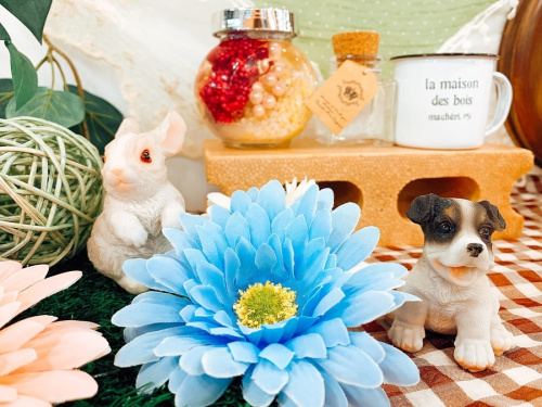 20年01月28日：画像８