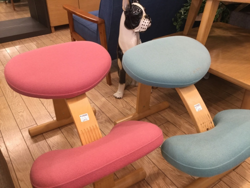 生活家具のイス