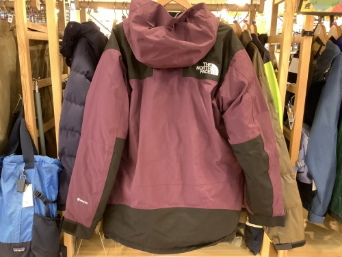 ダウンジャケットのTHE NORTH FACE
