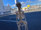 トレファク上福岡店ブログ