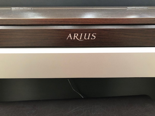 ARIUSのふじみ野