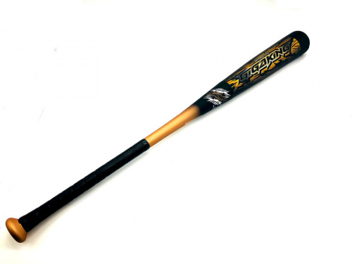 スポーツの野球