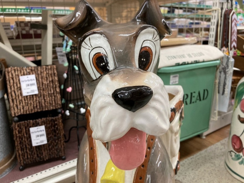 21年02月09日：画像６