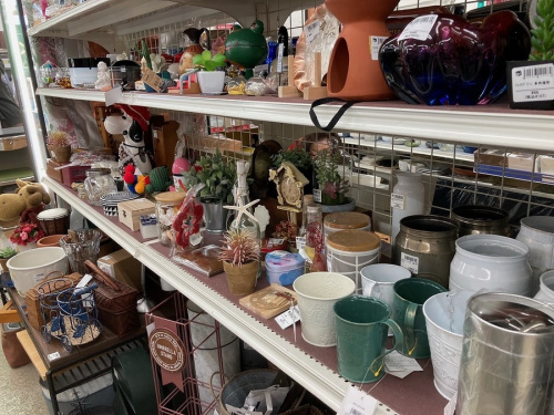 21年02月09日：画像７