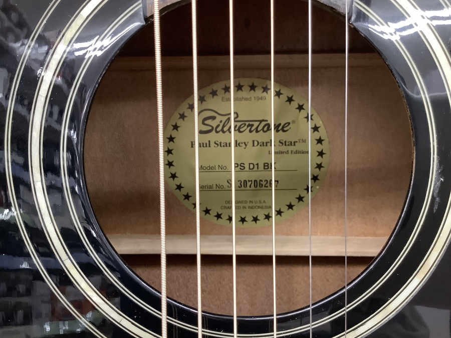 Silvertone PSD1 アコースティックギター