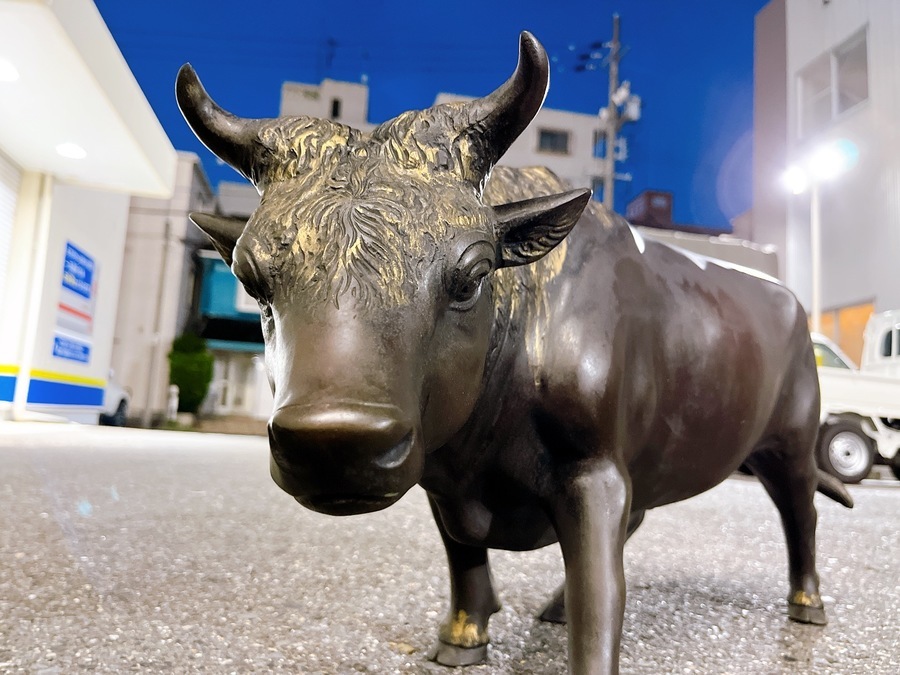 ヘルツォフの雄牛