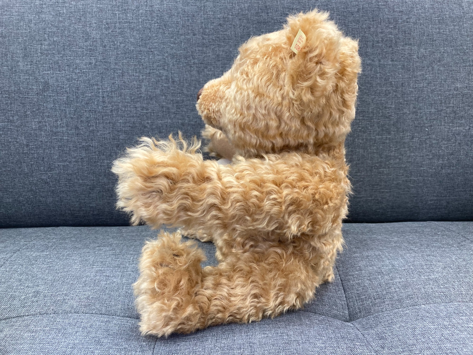 2000体限定！Steiff(シュタイフ)よりハリウッド100周年記念ベア