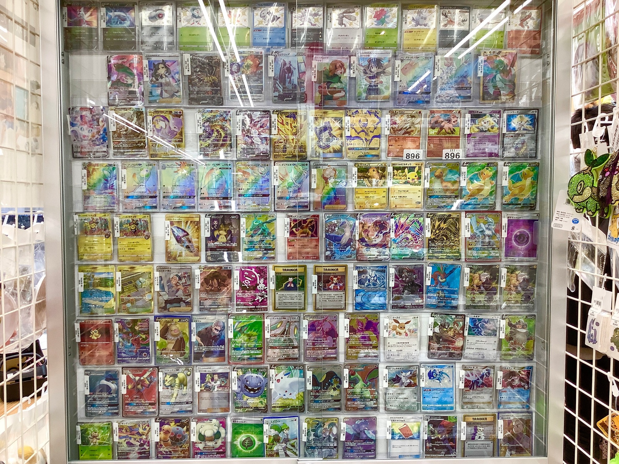 ナガウニモドキの仲間？（15個セット） ナガウニモドキの仲間？（15個セット） ナガウニモドキの仲間