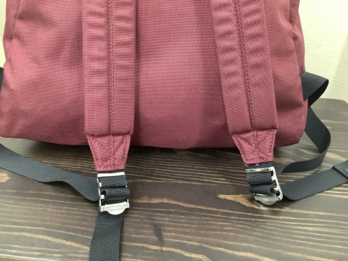 リュックのTHE NORTHFACE PURPLELABEL