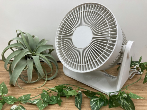季節家電の扇風機