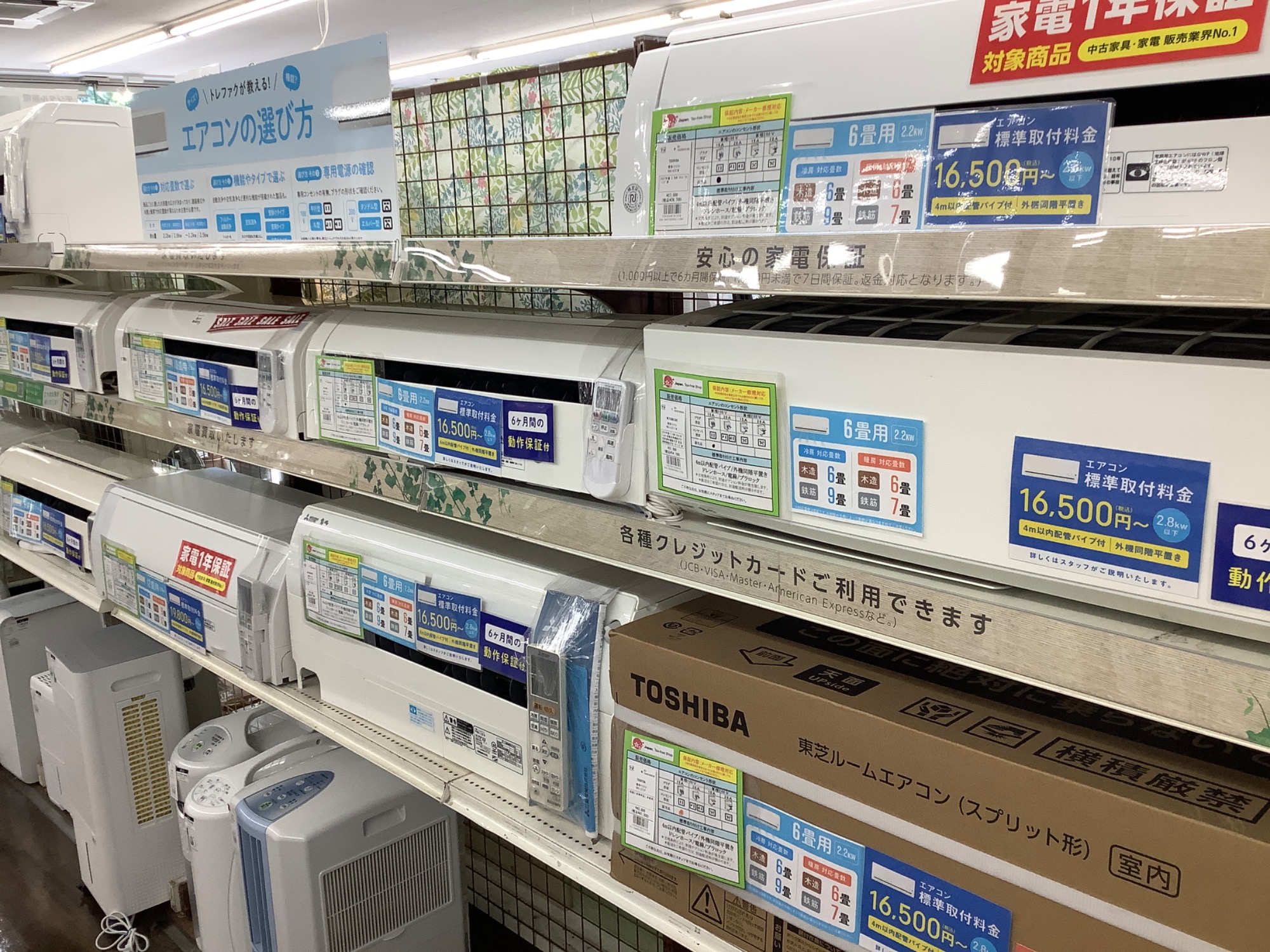 TOSHIBA】ドラム式洗濯乾燥機が入荷しました！｜2024年07月05日
